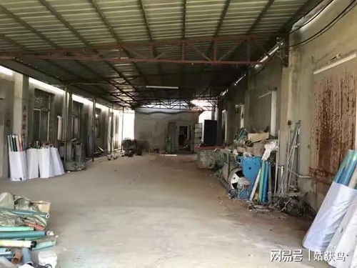 武漢市的一座大型工廠第三次拍賣,價(jià)格降到579.5萬元也沒人要