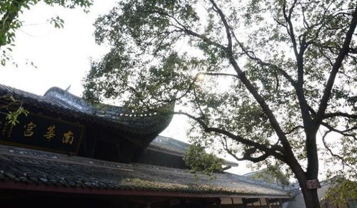 成都周邊隱藏一個(gè)4a級(jí)古鎮(zhèn),門票0元,在山水之間,正越來越火