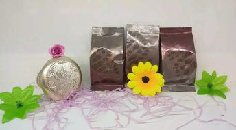 專業(yè)彩妝 夏日特惠